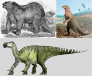 Tren Dinosaurio Iguanodon DINOSAURS Tren Dinosaurio Iguanodon DINOSAURS